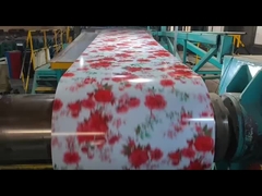 Cold Hot Rolled Prepainted SS340 G60 SS440 Galvanized PPGI Steel Coil Hot-dip Galvanizing